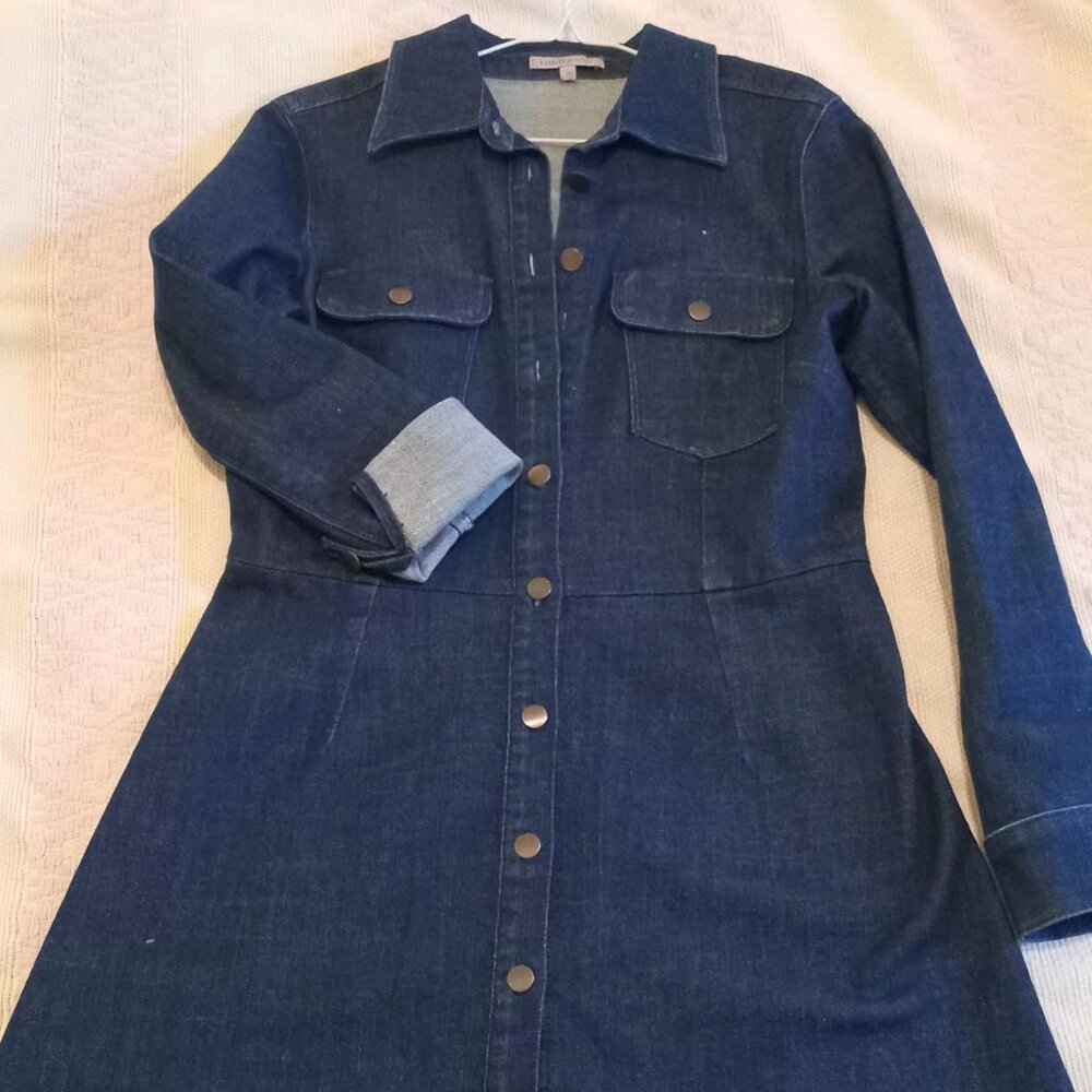 Denim dress - M&S limited edition